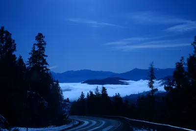 DSC_1054 (Large).JPG